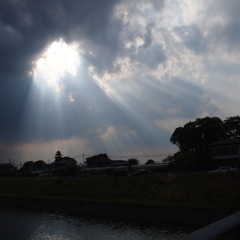 希望の光