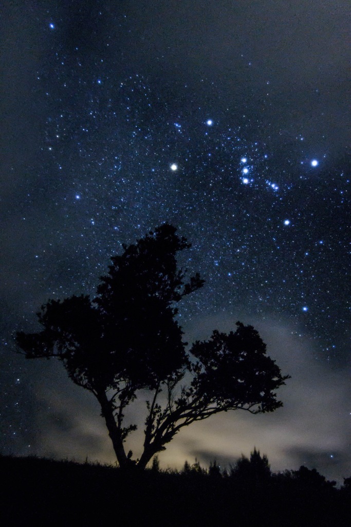 Orion