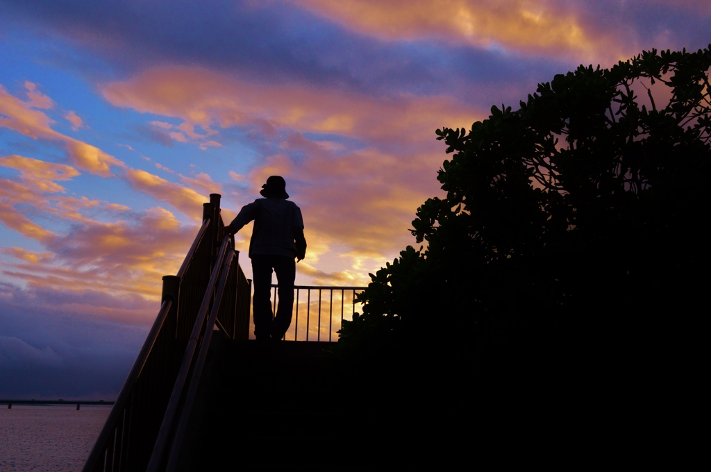 Looking for a sunset