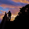 Looking for a sunset