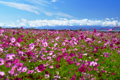 深呼吸したい風景