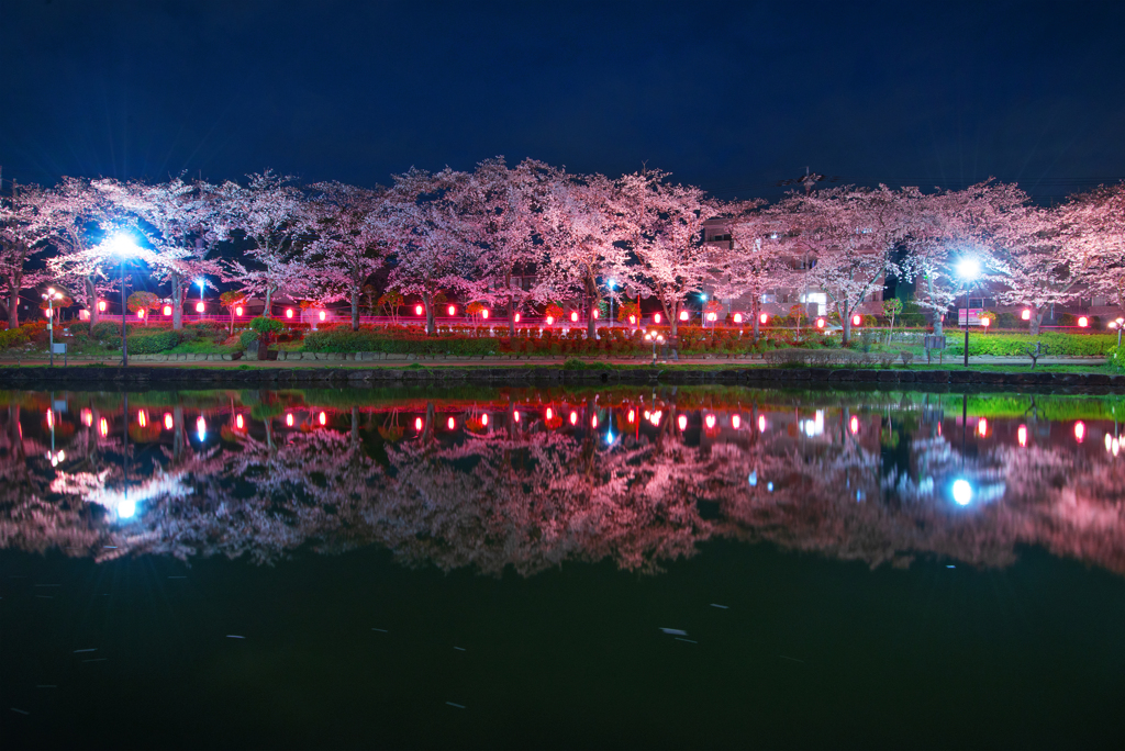 夜桜の宴Ⅱ