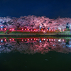 夜桜の宴Ⅱ