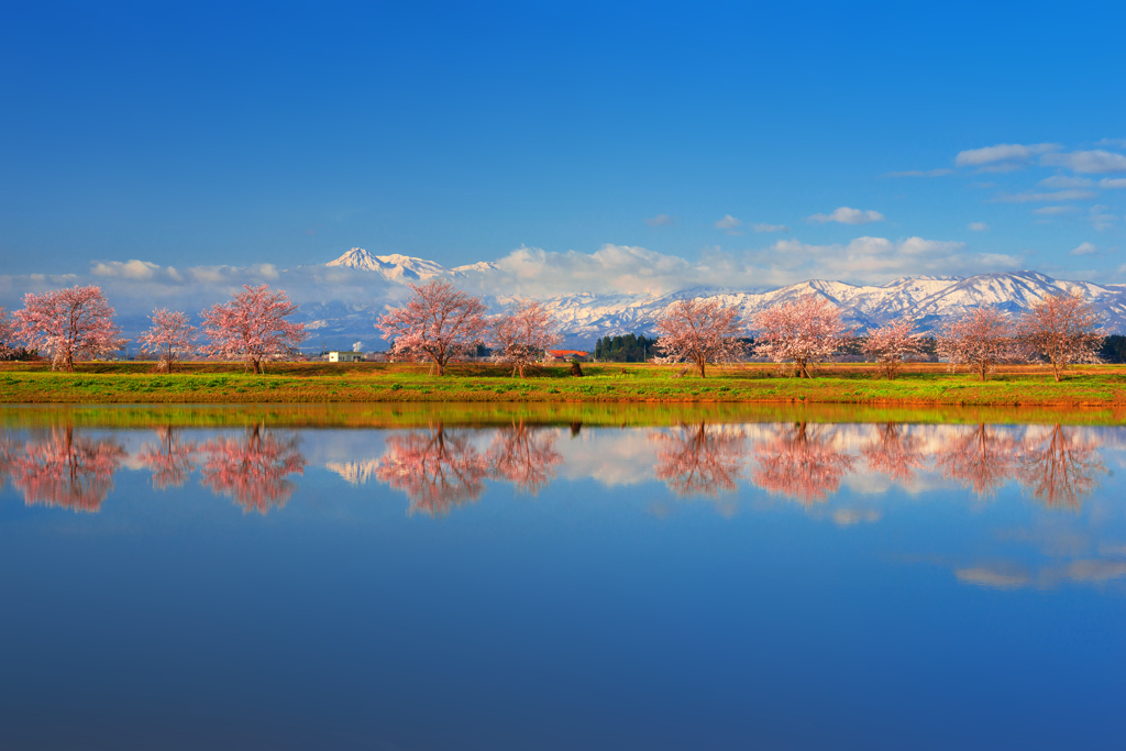 妙高山春景色Ⅱ
