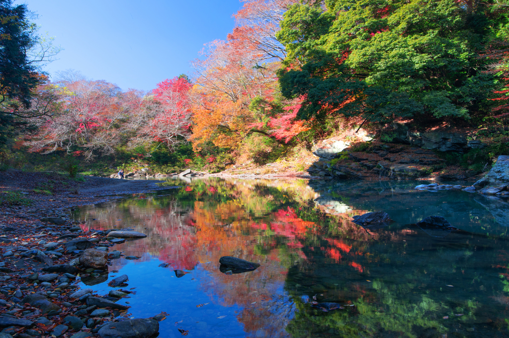 嵐山渓谷秋景Ⅲ