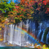 秋彩の白糸の滝（虹）