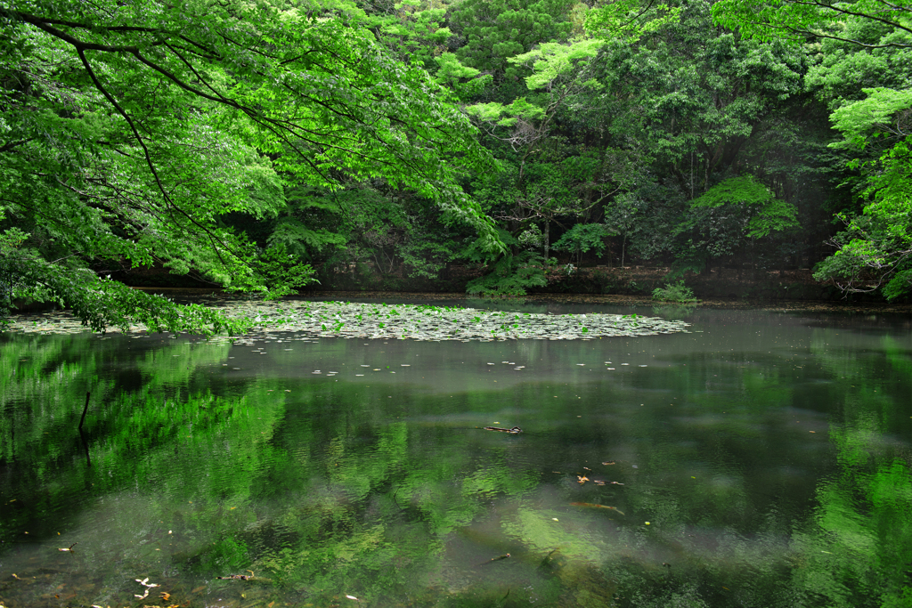 神秘の池