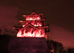 忍城炎上