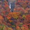 明智平の紅葉