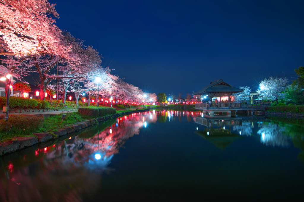 夜桜の宴Ⅲ