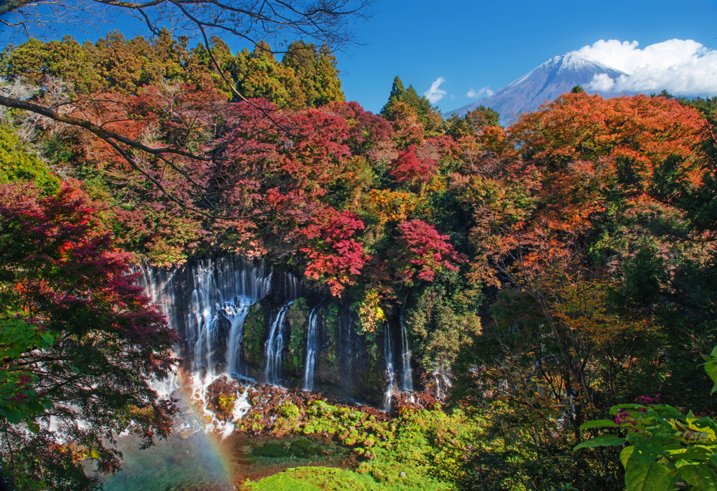 秋彩の白糸の滝（富士）