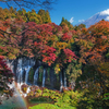 秋彩の白糸の滝（富士）