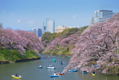 春が来た千鳥ヶ淵