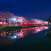 夜桜の宴