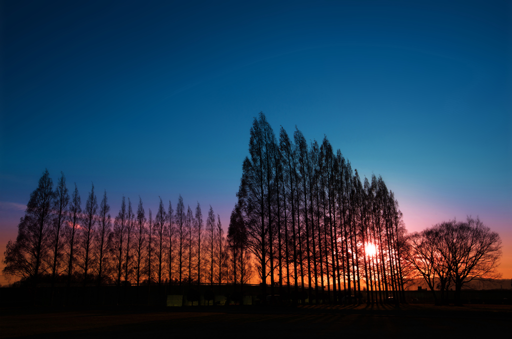 爽快な夕陽焼け