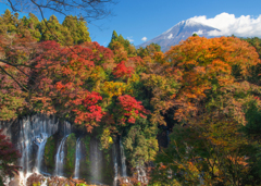 秋彩の白糸の滝（富士）