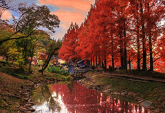 ムーミン村の夕焼け