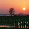 久下橋の夕陽