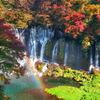 白糸の滝秋彩Ⅱ