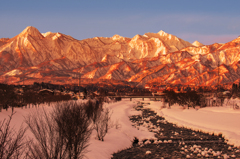 モルゲンロート