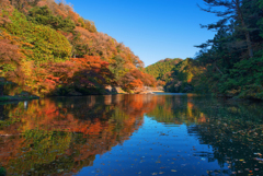 鎌北湖秋景