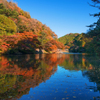 鎌北湖秋景