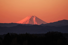 自宅より夜明け富士