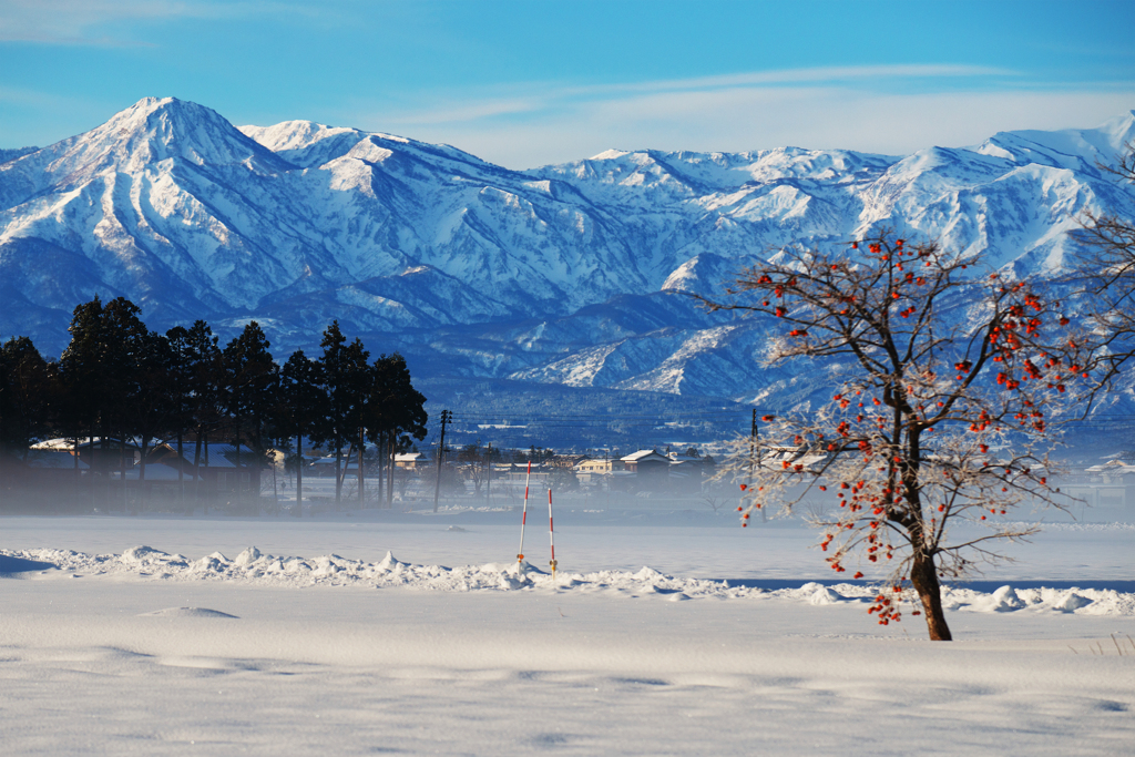妙高連山柿景色