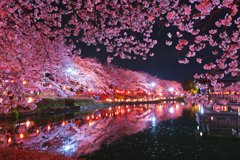東松山夜桜祭り