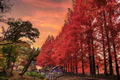 ムーミン村の夕焼け