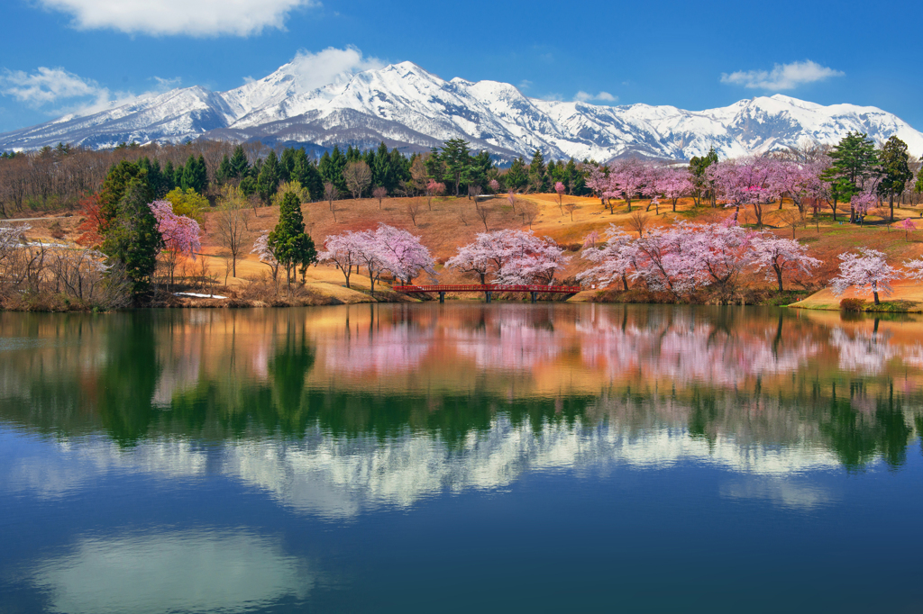 妙高連山春情景