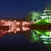 高田城夜桜