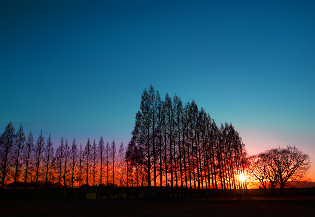 夕日に染まる