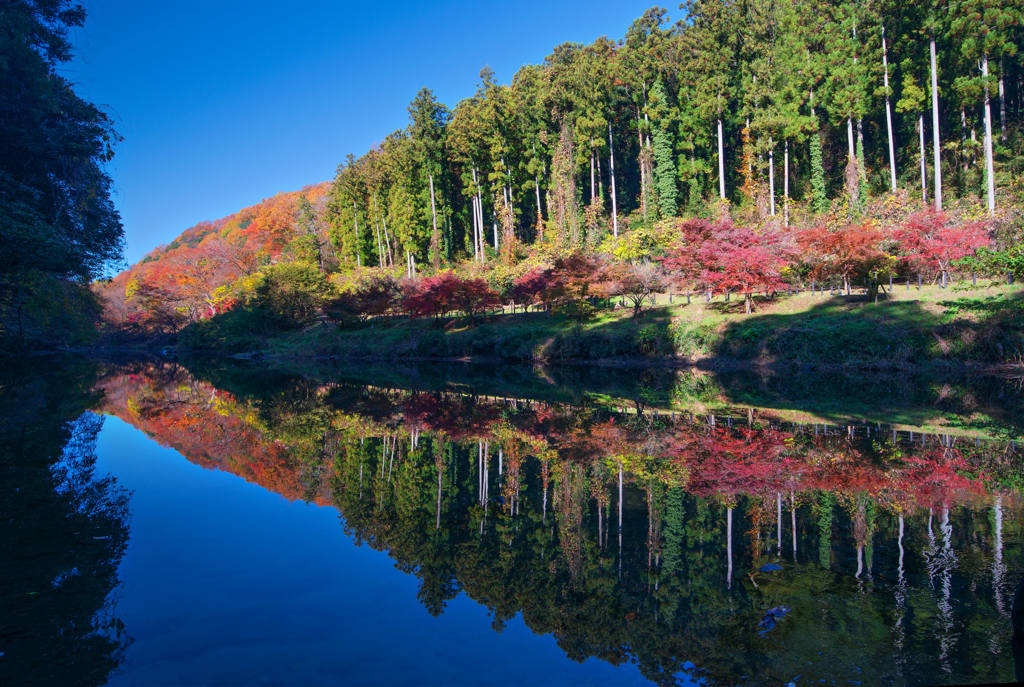 嵐山渓谷秋景