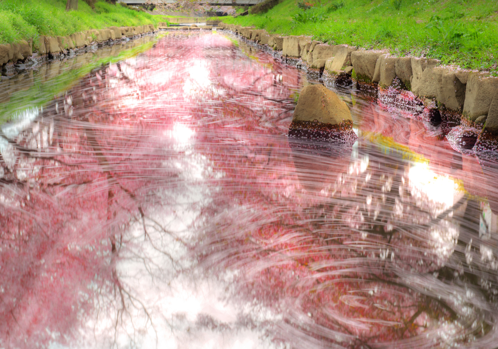 吹上桜花筏