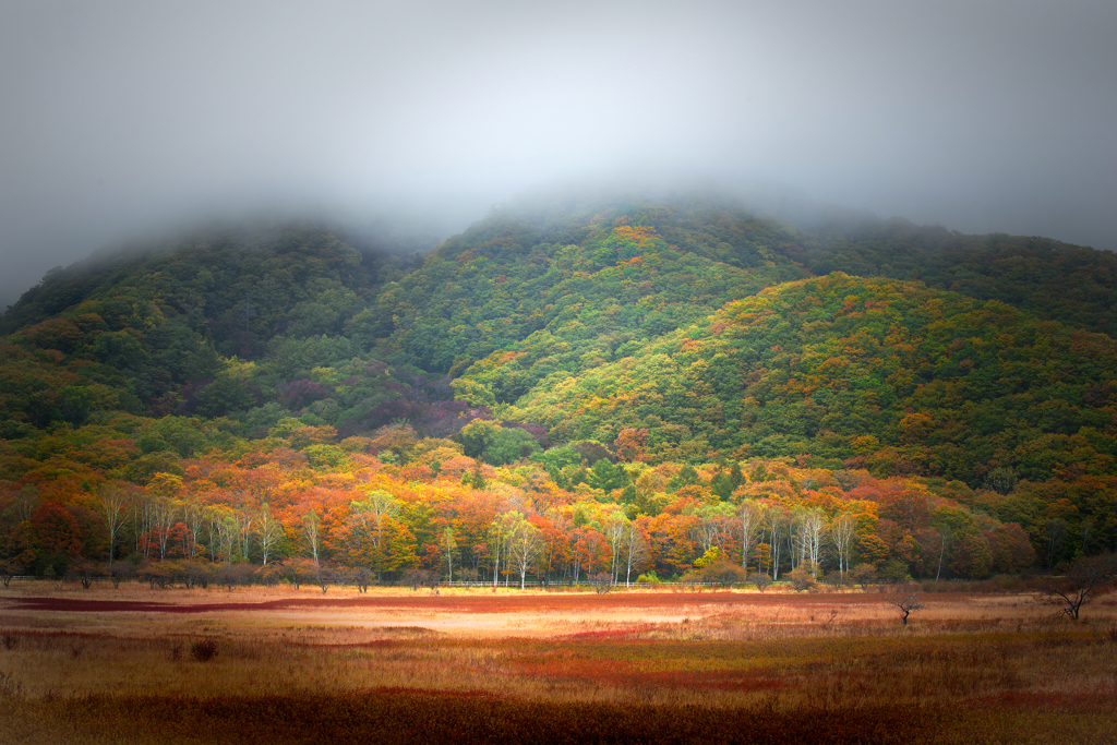 紅葉の小田代ヶ原Ⅱ