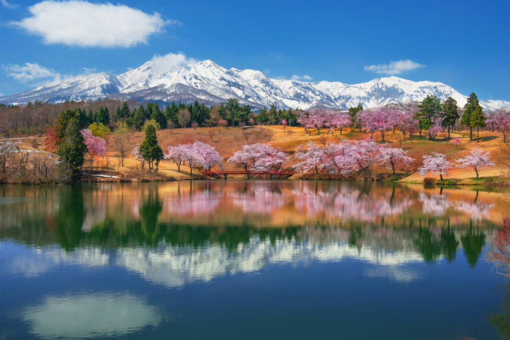 妙高山春景色