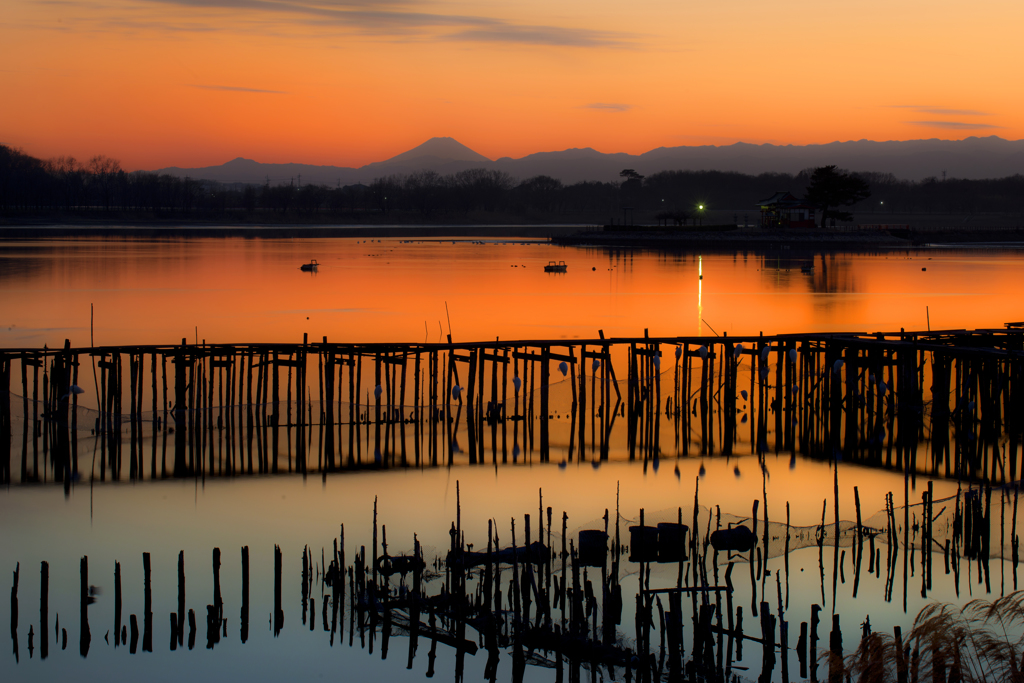多々良沼夕景