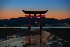 厳島鳥居朝焼け