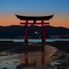 厳島鳥居朝焼け