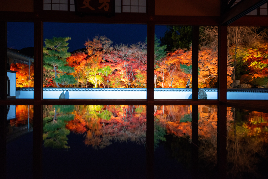 宝徳寺紅葉ライトアップ