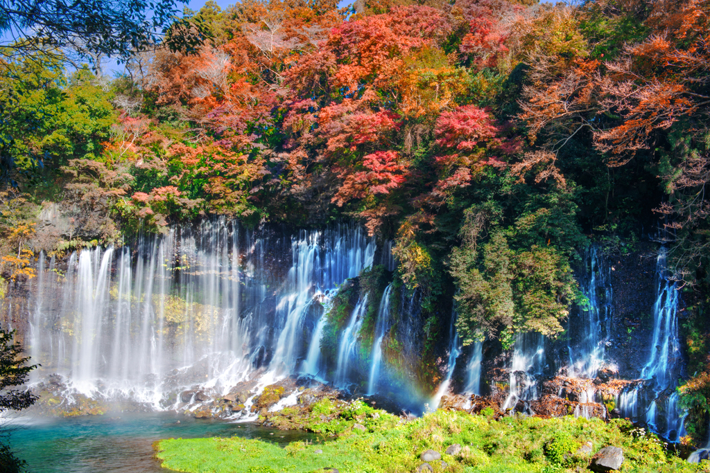 富士白糸の滝紅葉