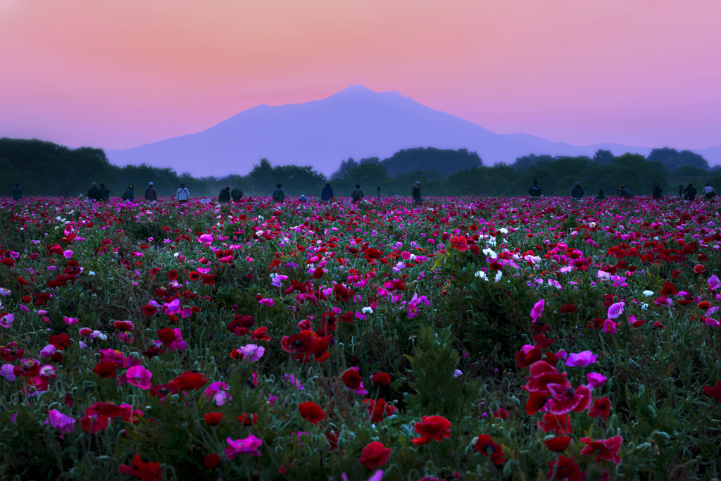 夜明けの筑波山