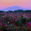 夜明けの筑波山