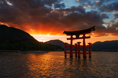 厳島鳥居夕景