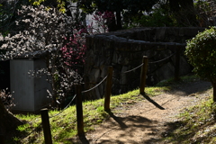 梅の小路