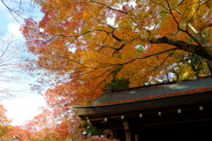 瑞宝寺公園の紅葉