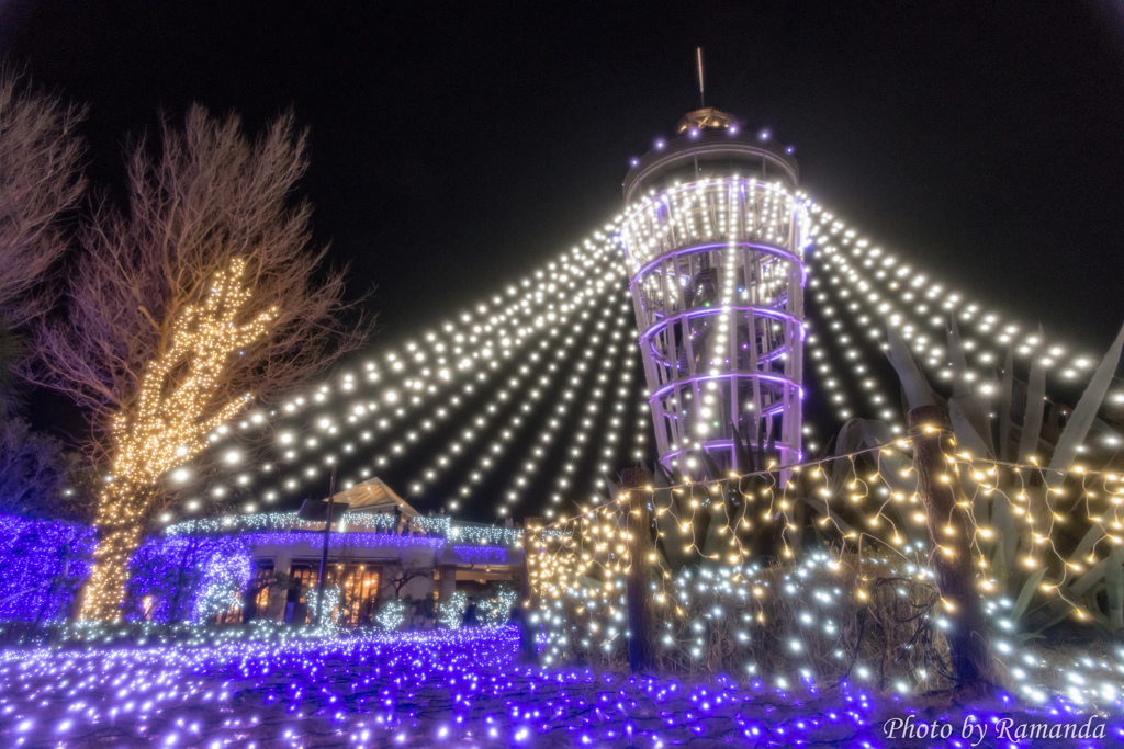 WINTER FANTASY
