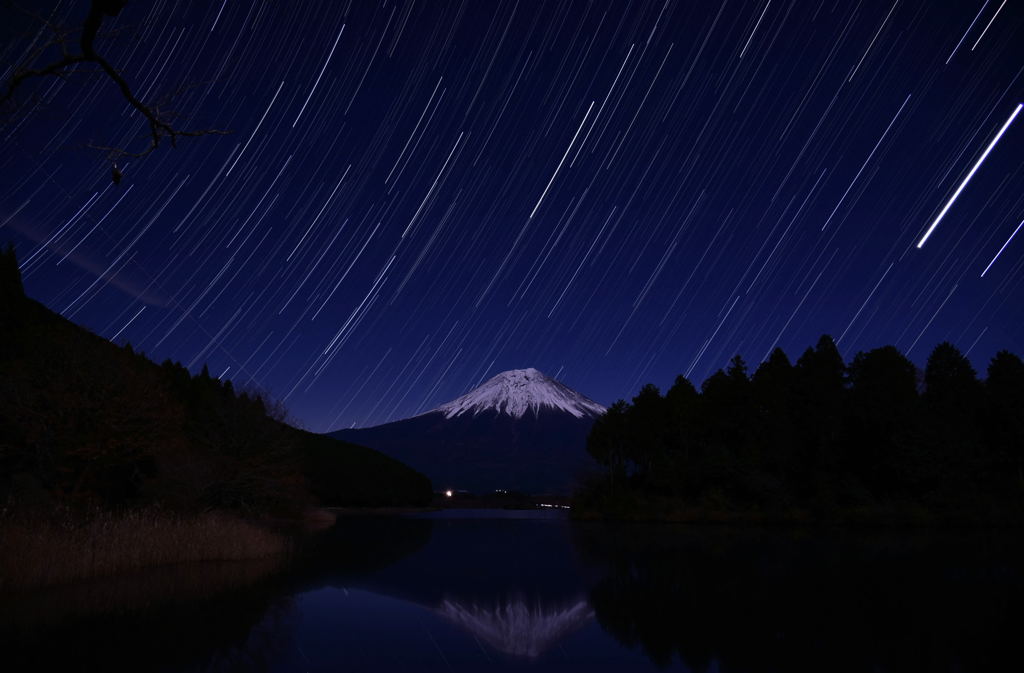 月明かりに昇りゆく星々