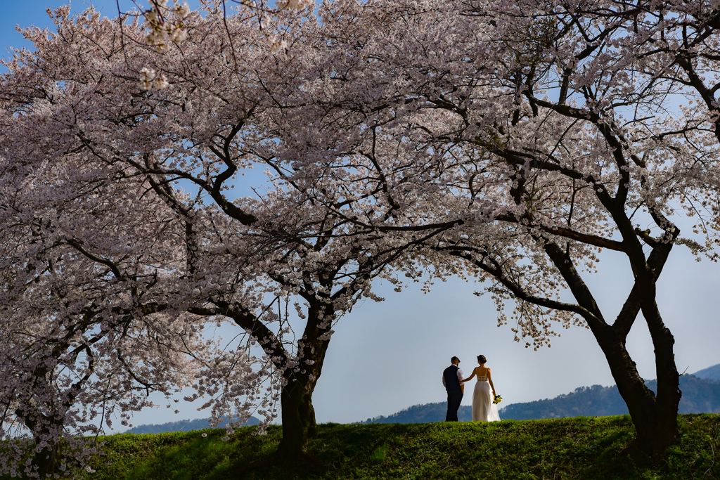 Happy Spring Wedding!!